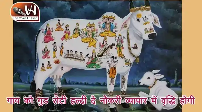 आज का राशिफल (12-03-2025): गाय को गुड रोटी हल्दी दे नौकरी व्यापार में वृद्धि होगी